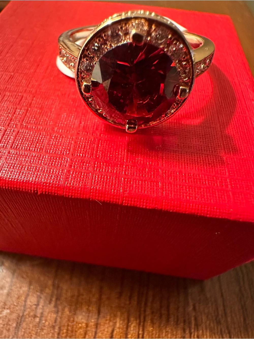 Gold filled Ring with Red Garnet Center  Stone and Halo Accent